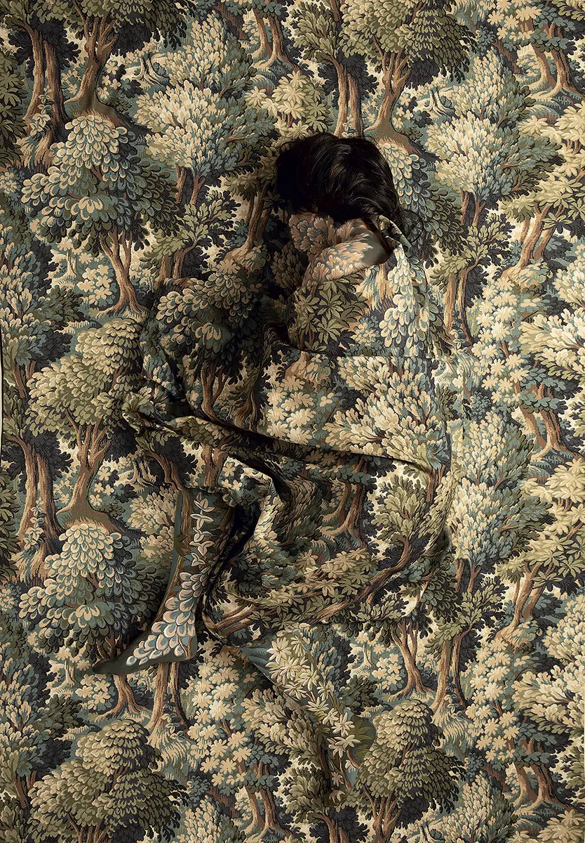 Exposición Individual: Cecilia Paredes  — imagen 1