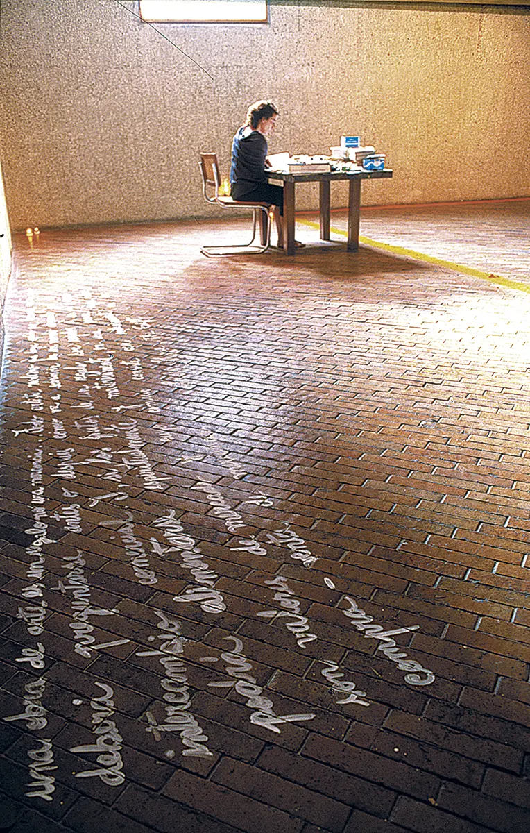 Monografía: María Teresa Hincapié — imagen 4