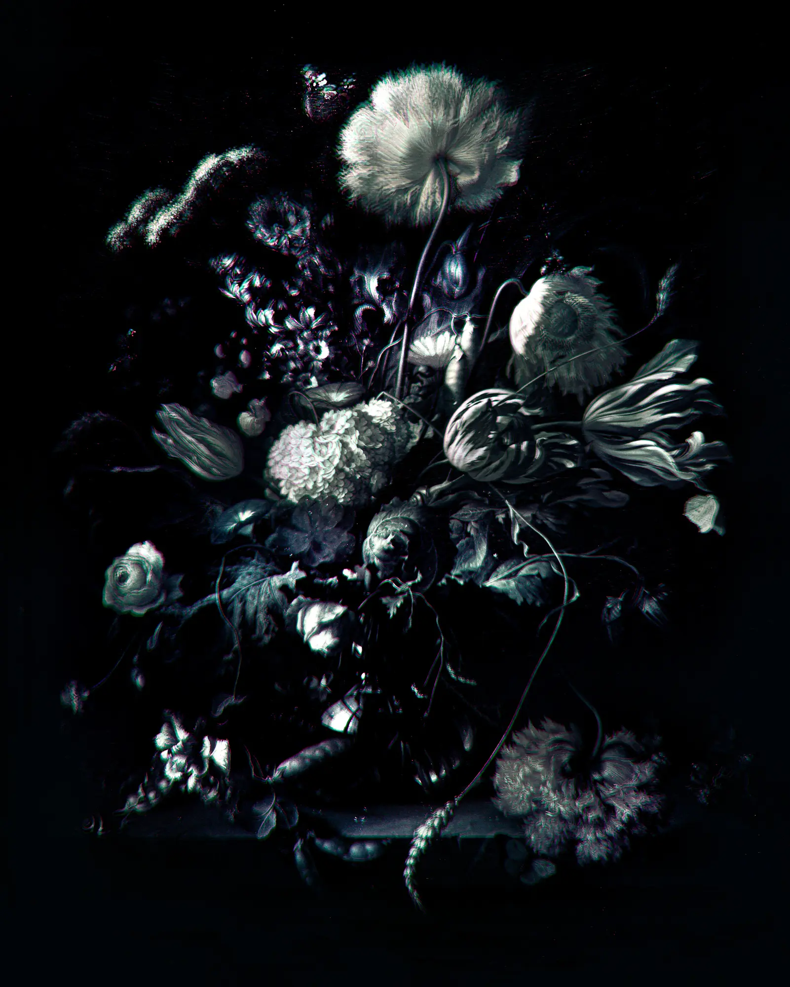 Flores 03