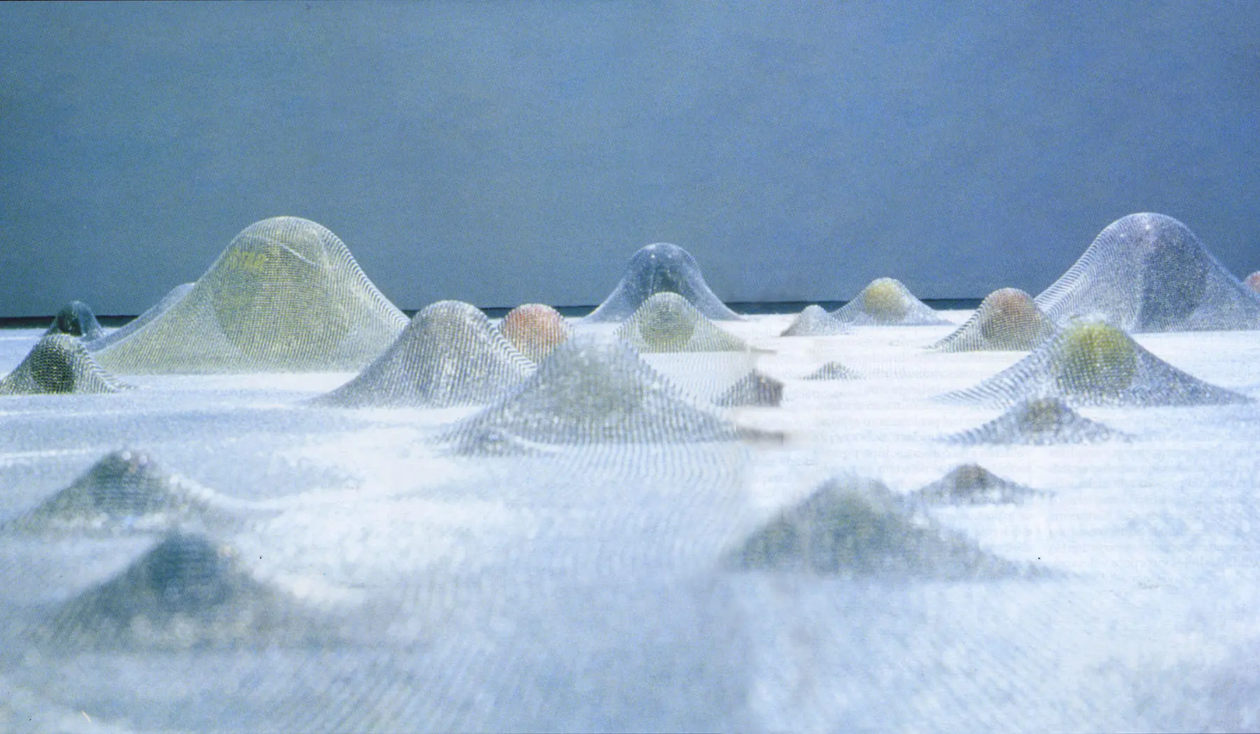 Cildo Meireles