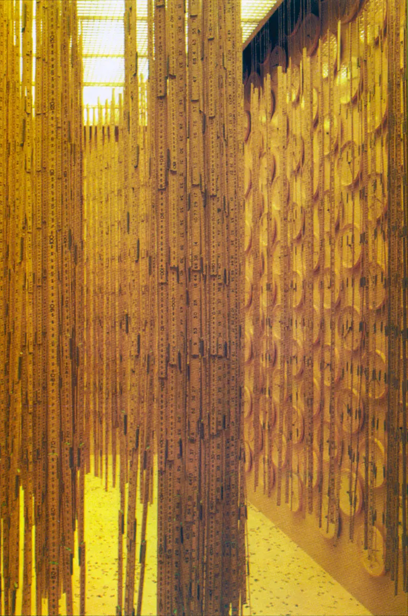 Monografía: Cildo Meireles — imagen 4