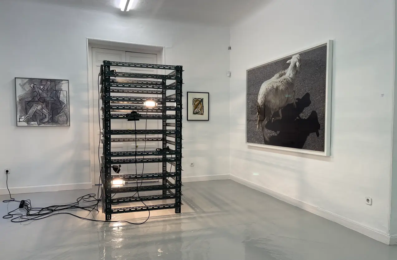Imagen 3 de Galería Juana de Aizpuru