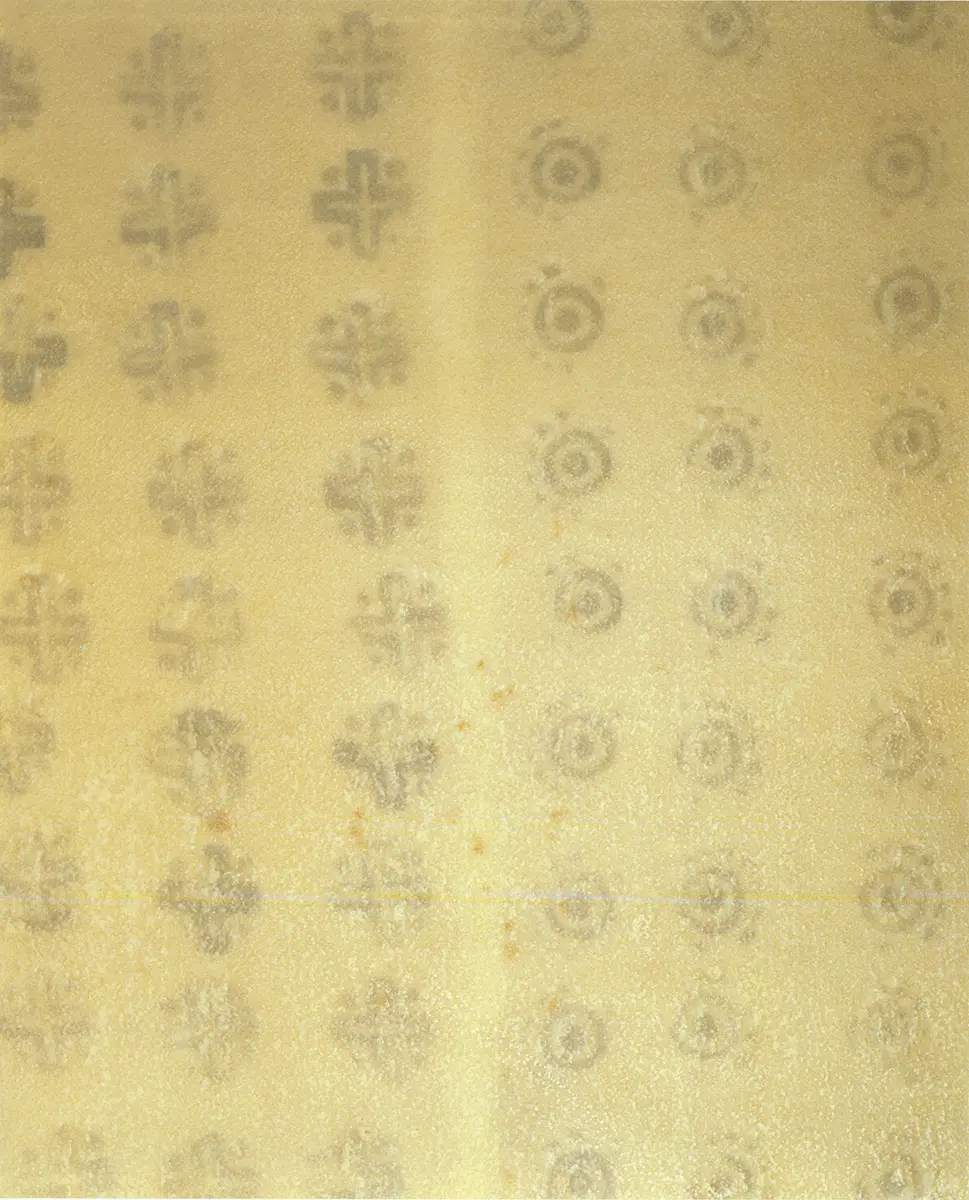 Bienal: XXV Bienal de São Paulo — imagen 4