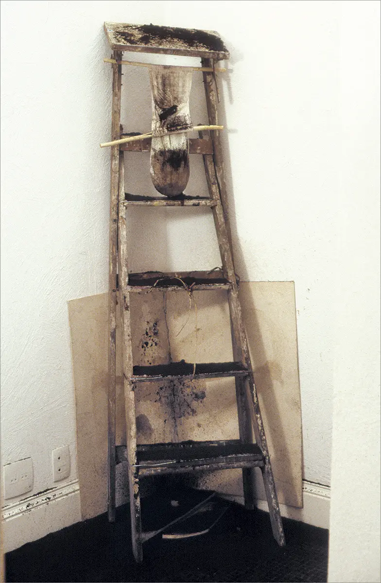 Monografía: Artur Barrio — imagen 6