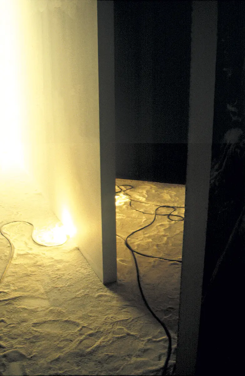 Monografía: Artur Barrio — imagen 1