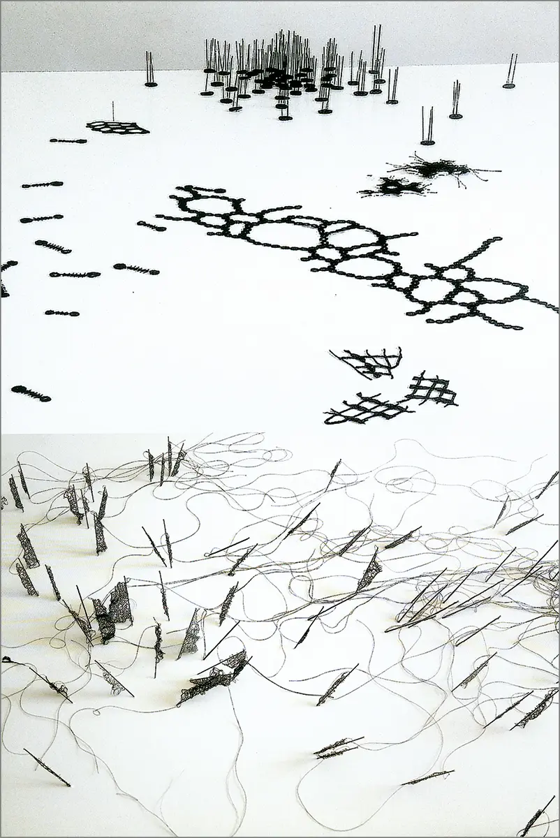 Anne Wilson. Topologies (3-5.02), 2002. Lace, thread, cloth, pins and painted wood support. Variable dimensions. Courtesy: Revolution Gallery, Detroit.