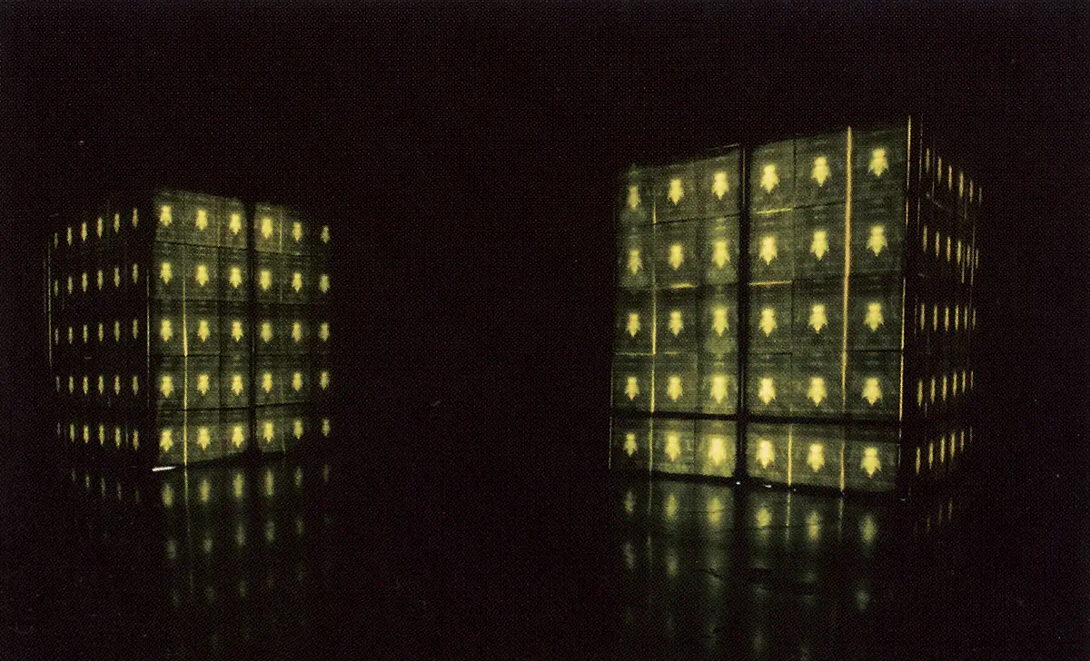 Bienal: La 4° Bienal del Caribe — imagen 9