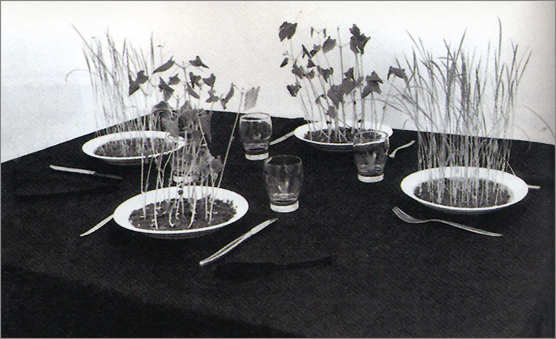 Virgin Territory: Women, Gender, and History in Contemporary Brazilian Art