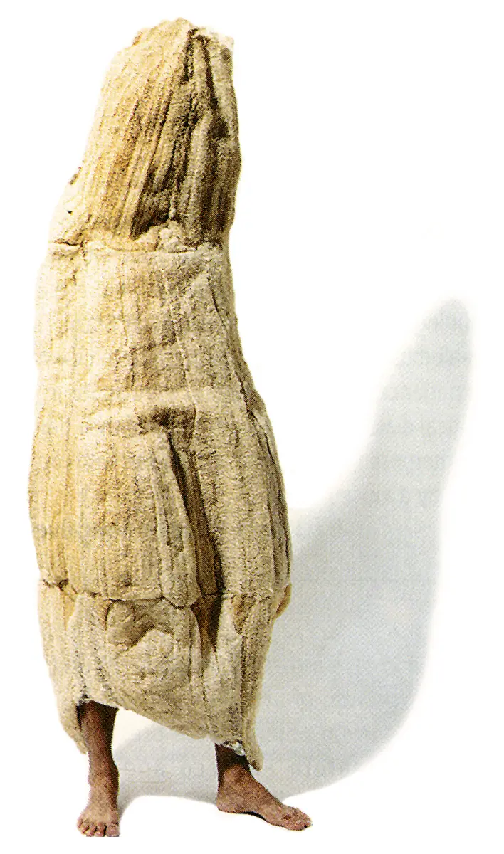 Colectiva: Panorama del arte brasileño — imagen 3