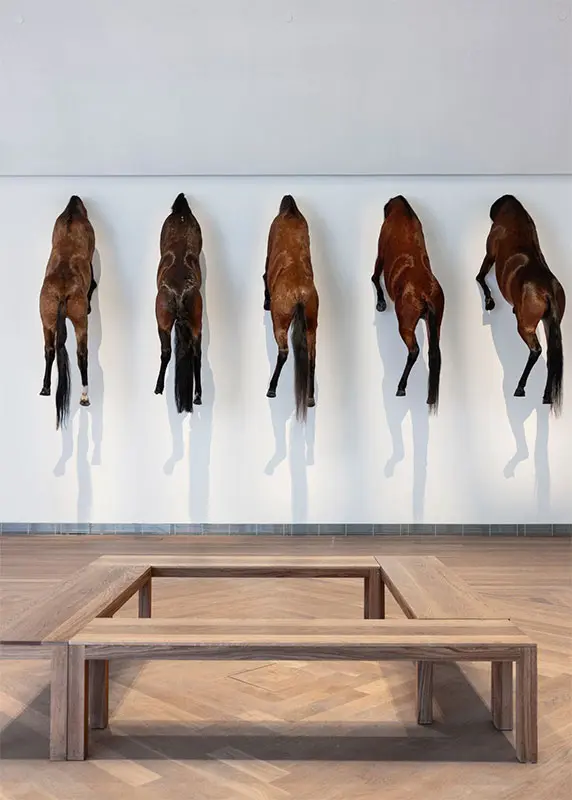 Imagen 2 - Maurizio Cattelan: La tercera mano. Colección del Moderna Museet