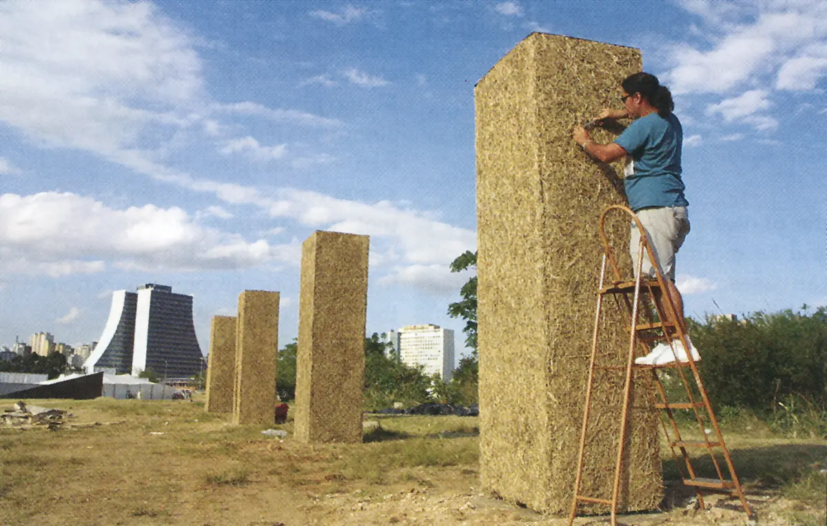 Bienal: Arte contemporáneo en la III Bienal del Mercosur — imagen 2