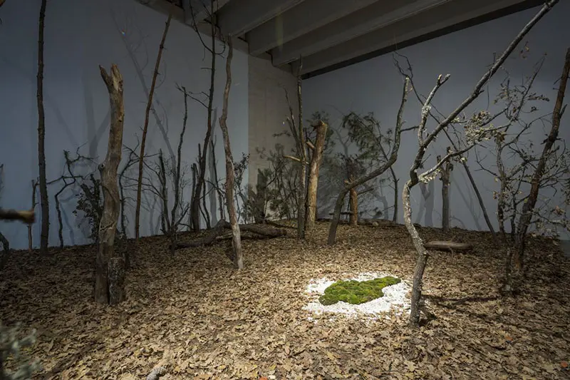 Ana Mendieta: En búsqueda del origen en el Museo de Arte Contemporáneo de Castilla y León