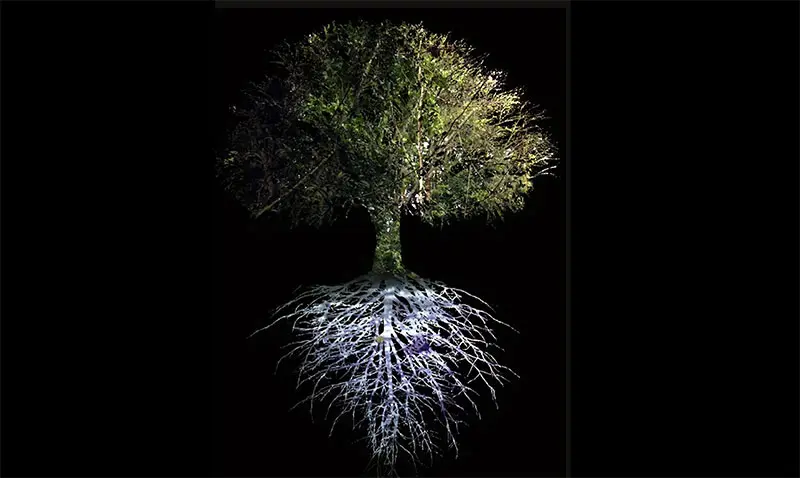 Ursula Biemann: Devenir Tierra. Museo Universitario Arte Contemporáneo– de Ciudad de México - MUAC