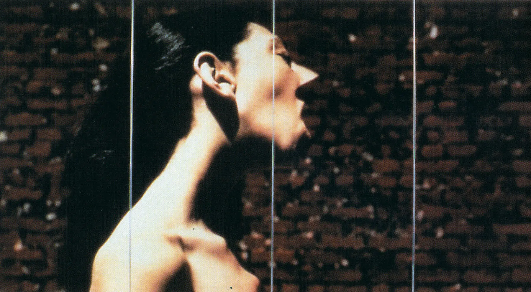 Bitstreams en el Whitney