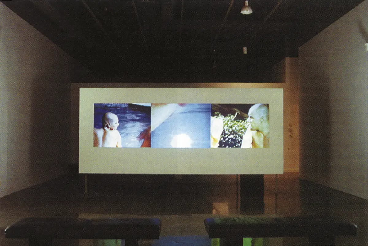 Exposición Individual: Isaac Julien y Javier de Frutos — imagen 1