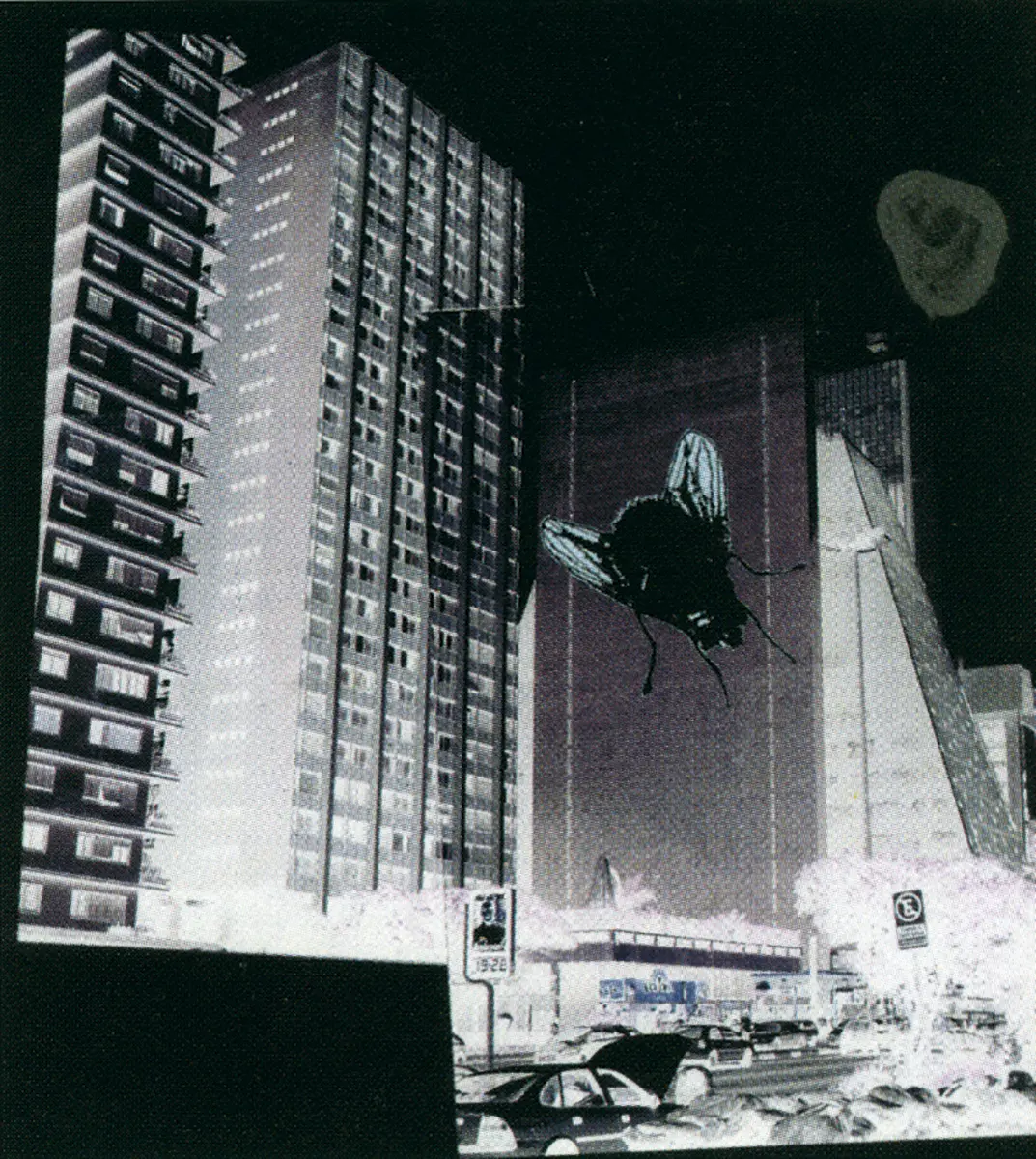 Colectiva: Bienal de los 50 años - Homenaje a Ciccillo Matarazzo — imagen 3
