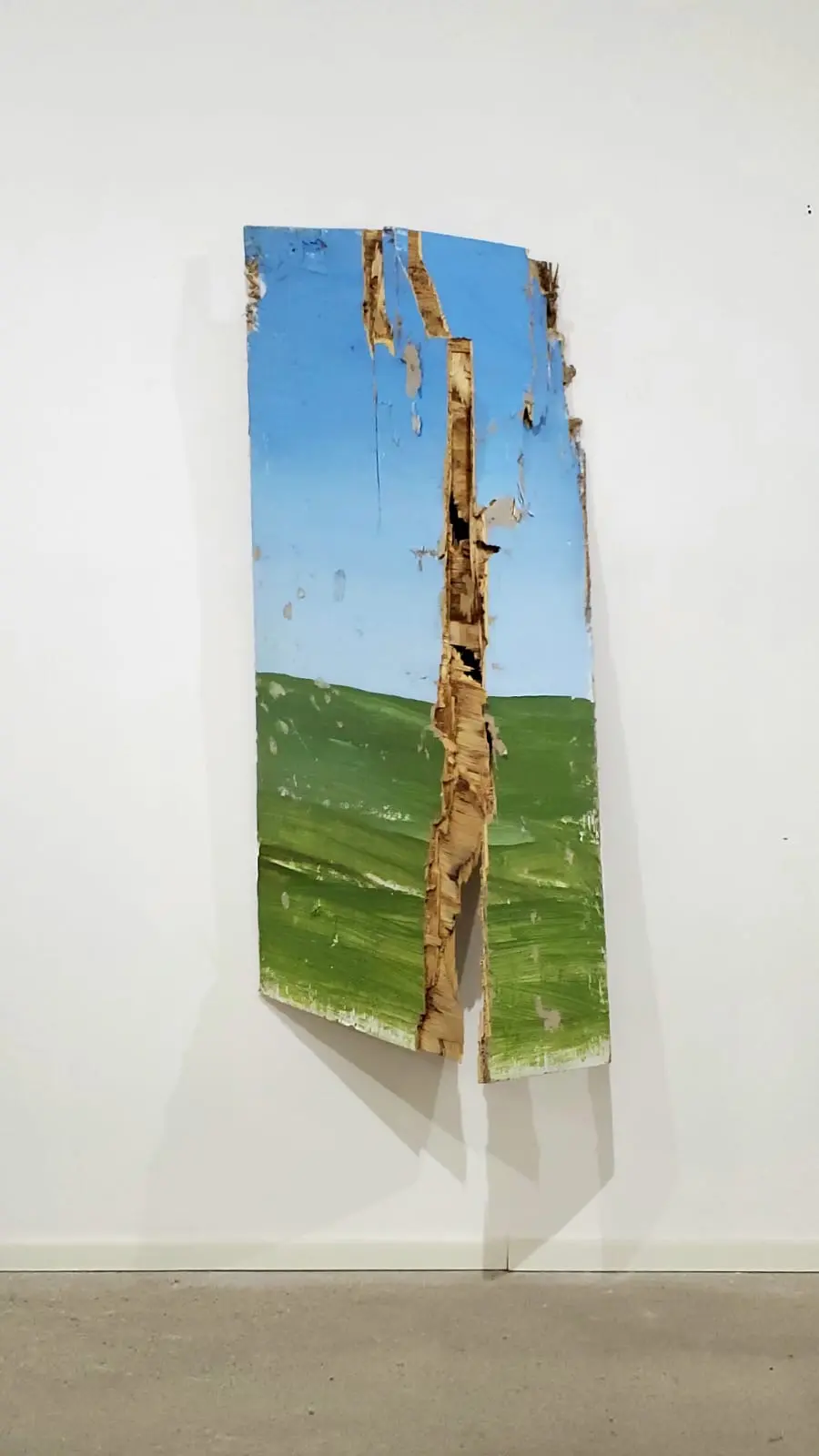 Imagen 1 de Yam  Gallery