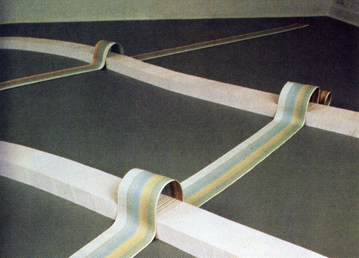 Exposición: Versiones del Sur - F(r)icciones — imagen 3