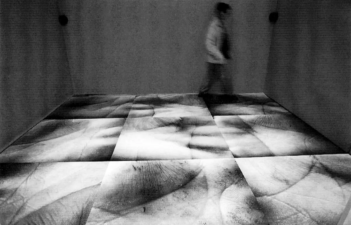 Exposición Individual: Gloria Posada — imagen 1