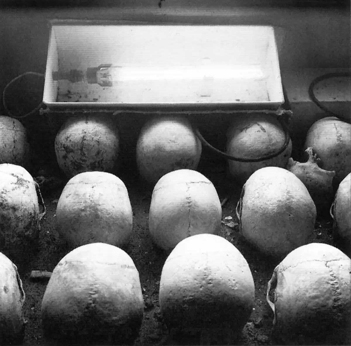 Exposición Individual: Miguel Rio Branco — imagen 1