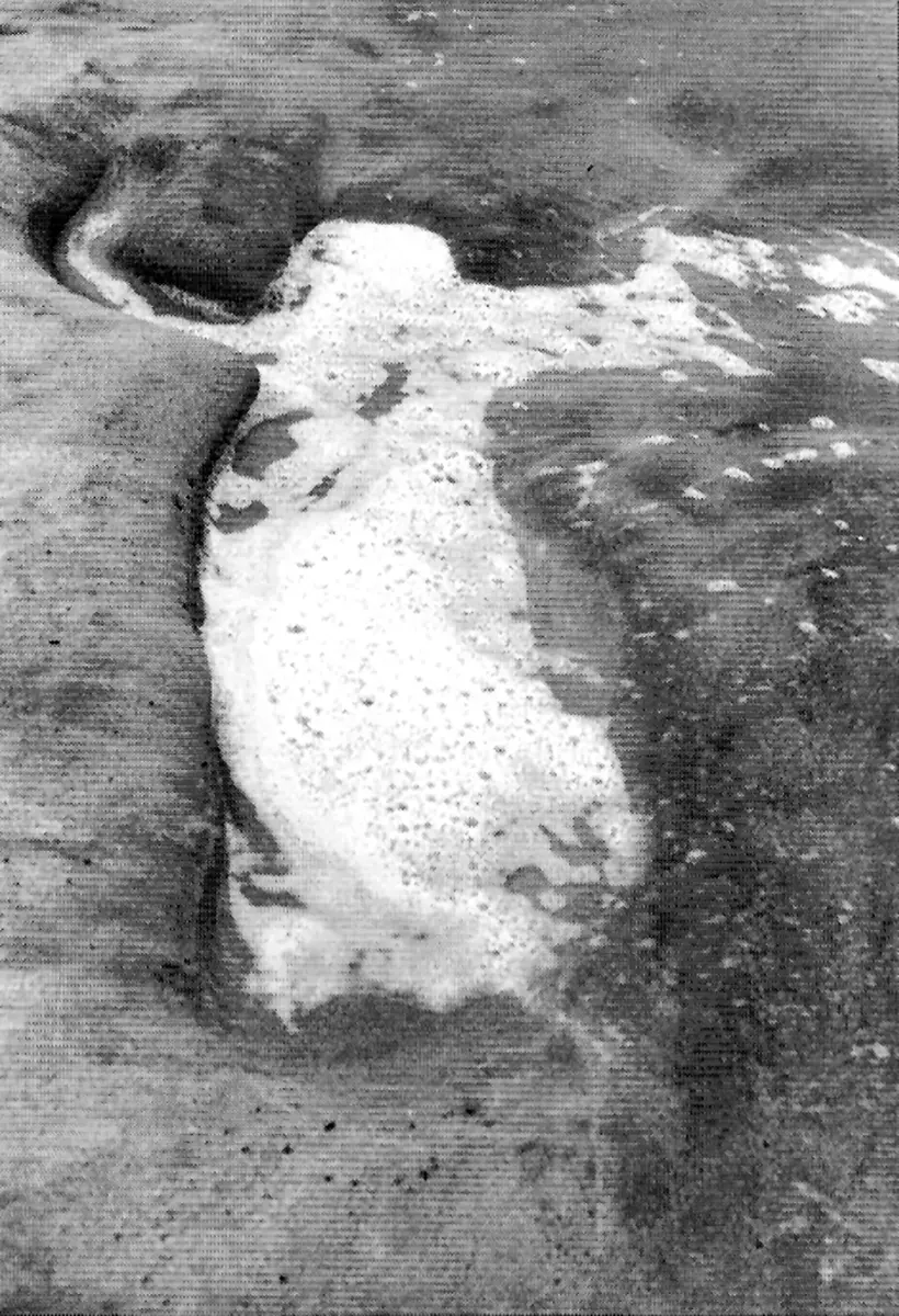 Exposición Individual: Vito Acconci y Ana Mendieta — imagen 1