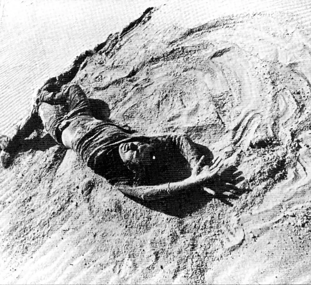 Exposición Individual: Vito Acconci y Ana Mendieta — imagen 2