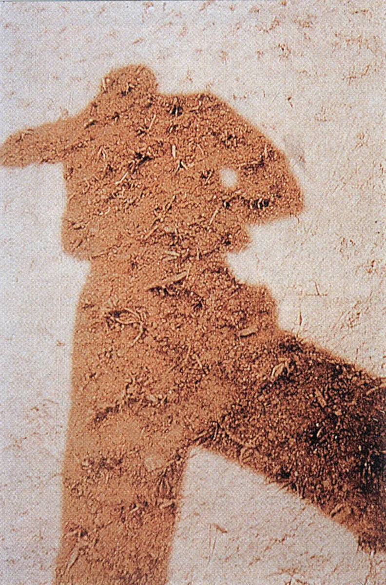 Exposición: Brasil — imagen 4