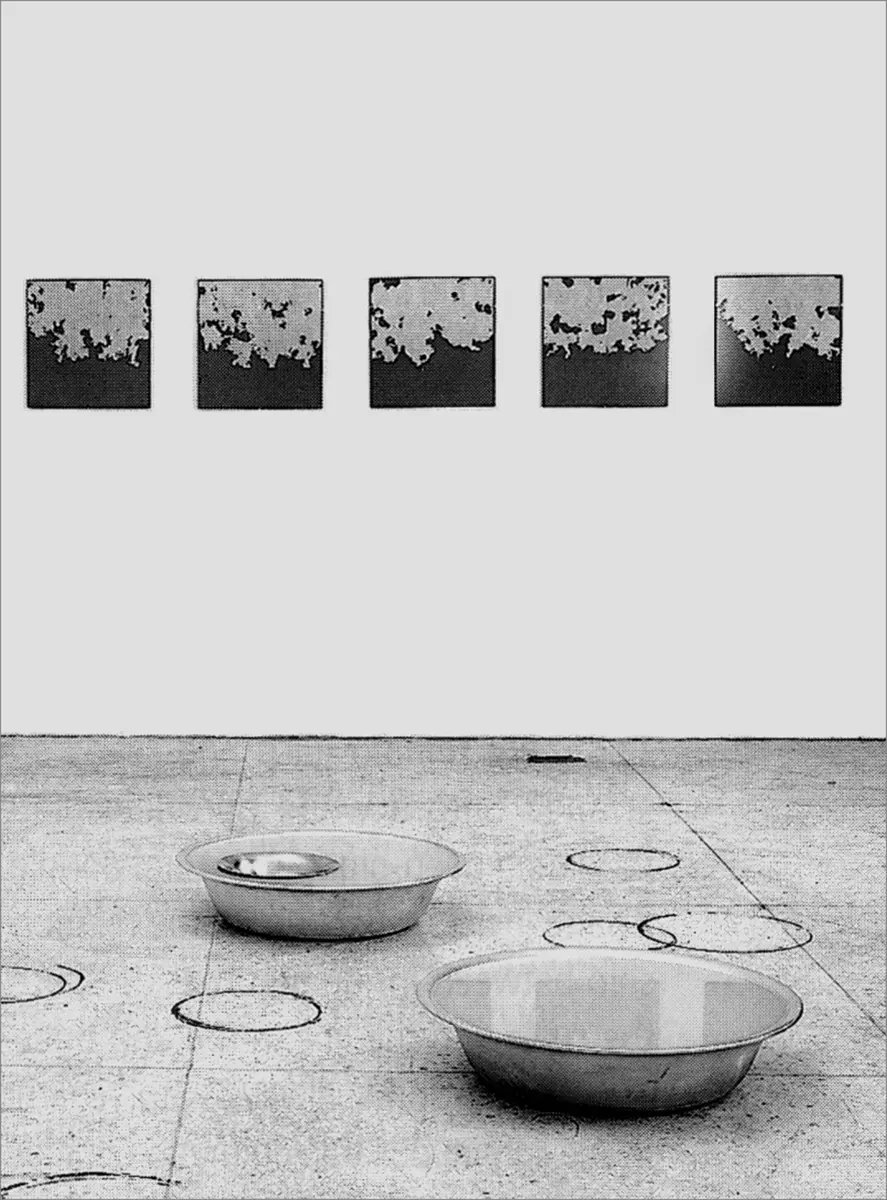 Exposición Individual: Rivane Neuenshwander — imagen 1