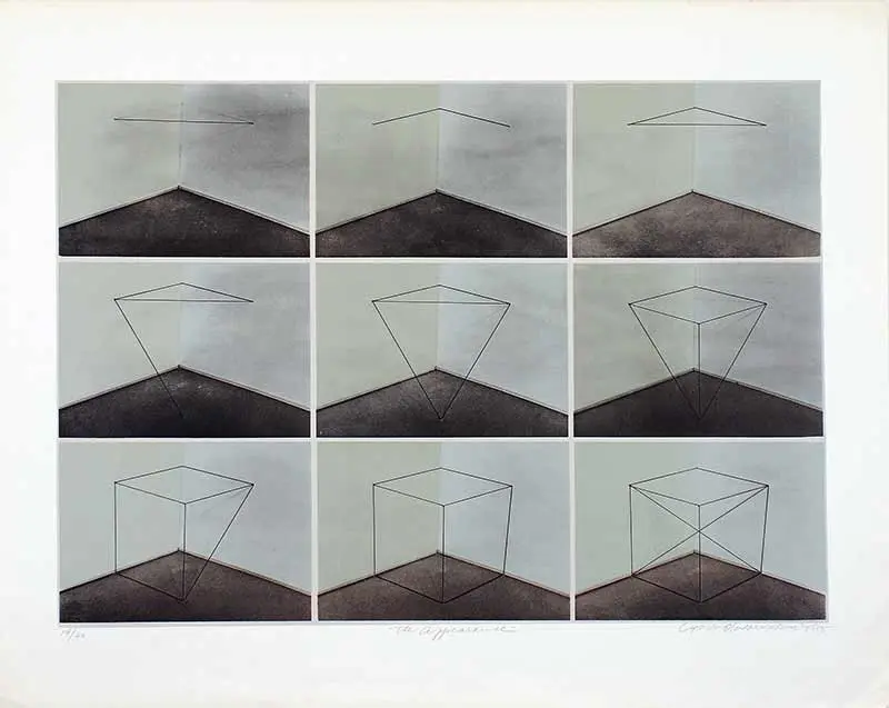 The Appearance: Art of the Asian Diaspora in Latin America & the Caribbean. Americas Society