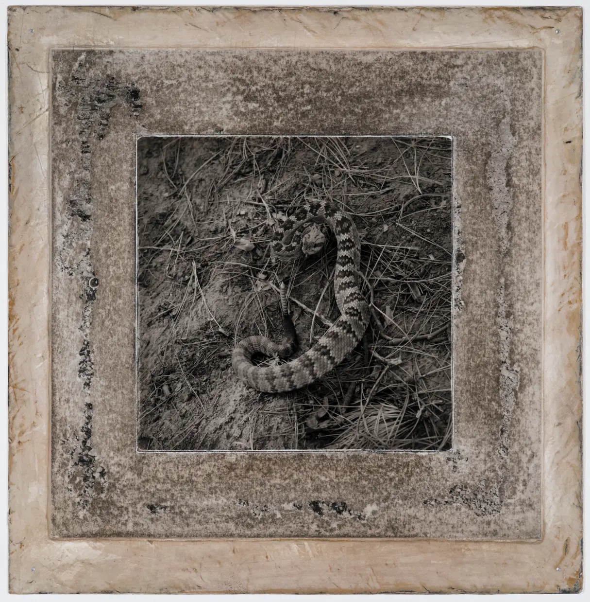 Imagen 2 de Etherton Gallery