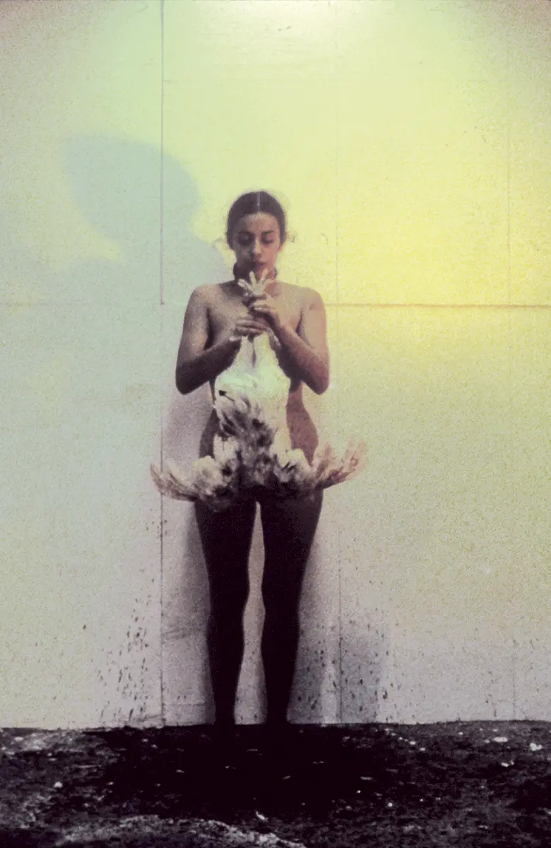 Monografía: Ana Mendieta — imagen 6
