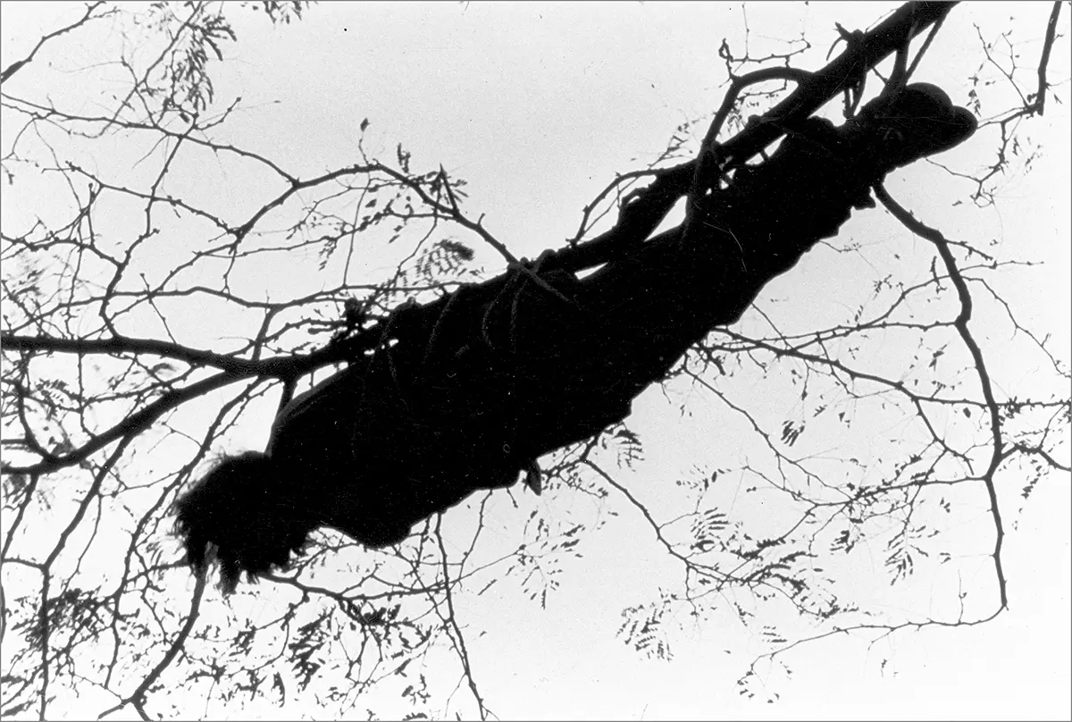 Monografía: Ana Mendieta — imagen 4