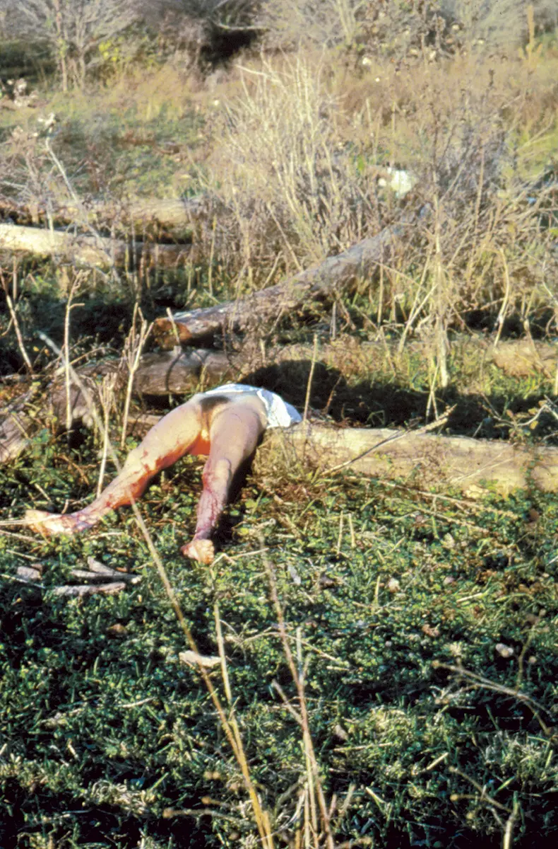 Monografía: Ana Mendieta — imagen 2