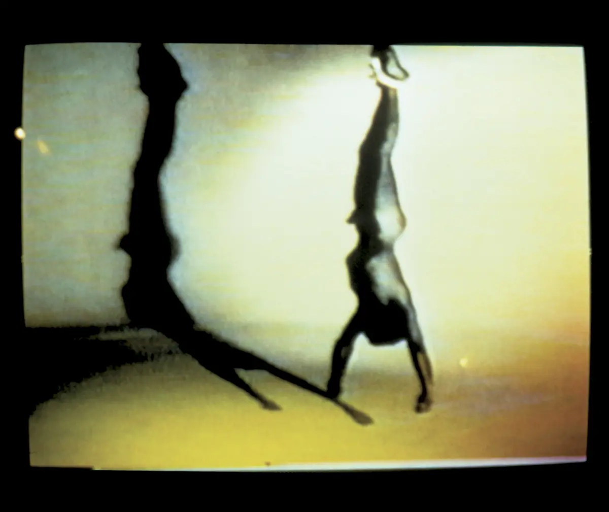 Raymundo Sesma. Extremae Unctionis, 1994-1999. Detail of the video-installation.