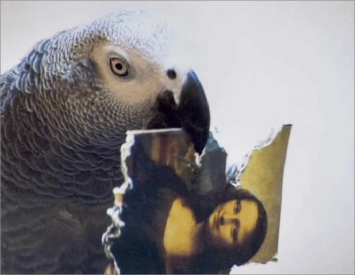 Feria: FIAC 2002 Art Paris — imagen 12