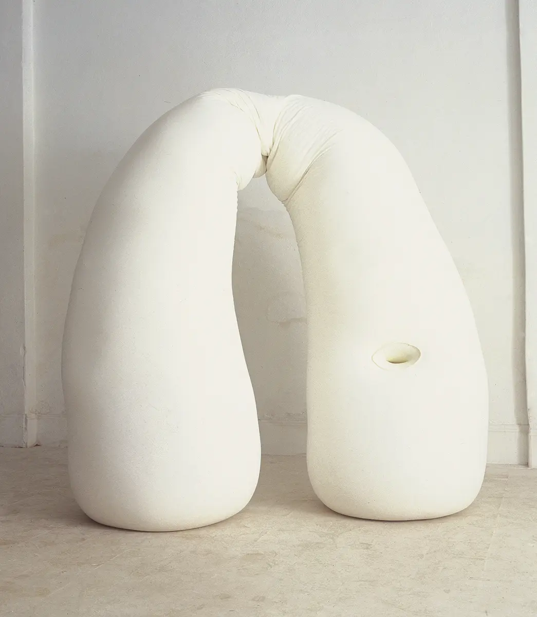 Monografía: Ernesto Neto — imagen 4