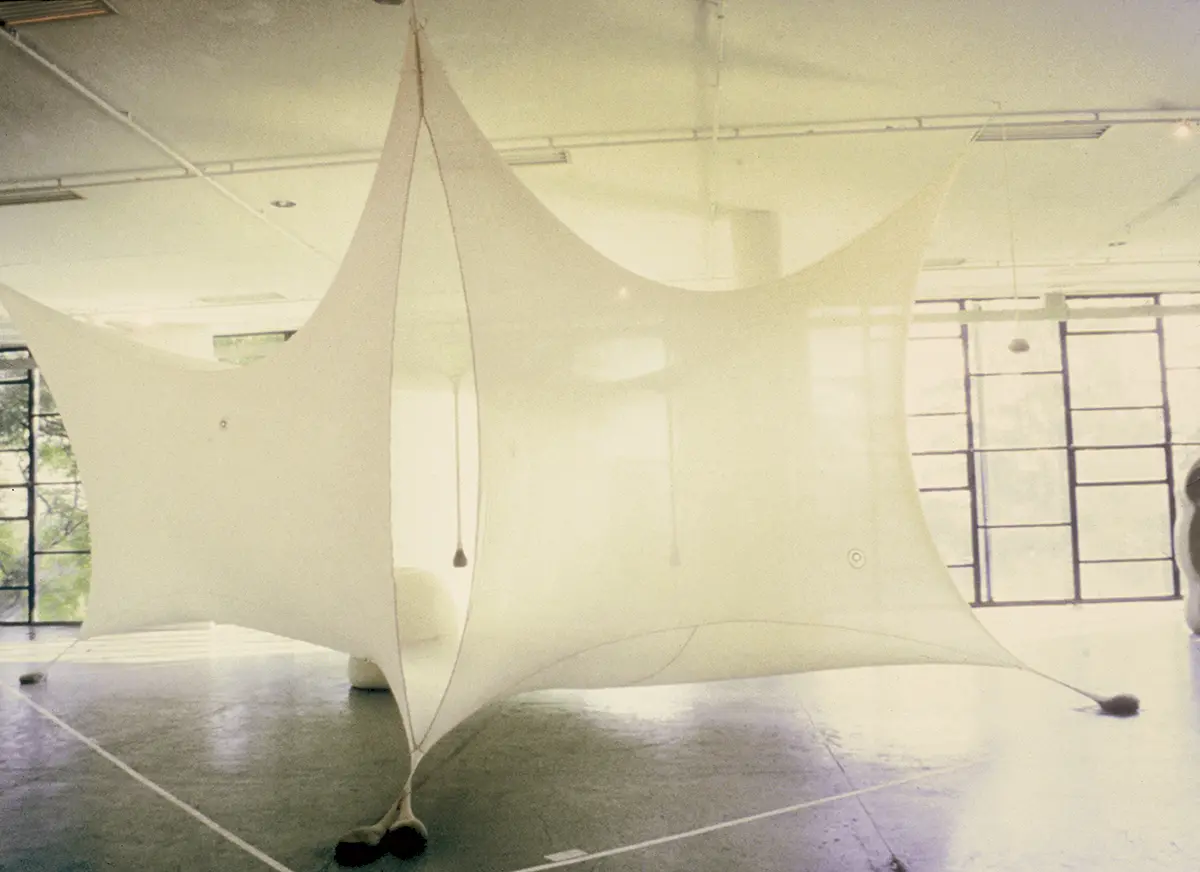 Monografía: Ernesto Neto — imagen 3