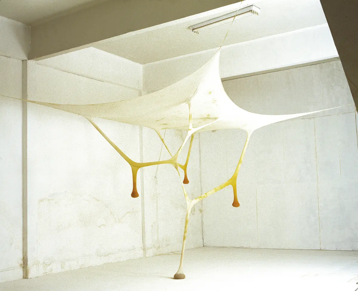 Monografía: Ernesto Neto — imagen 2