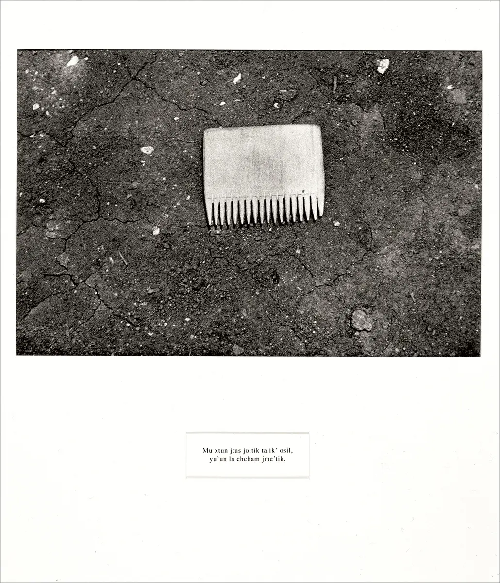 Exposición: La mirada - Visualizando la fotografía de Latinoamérica en la actualidad — imagen 4