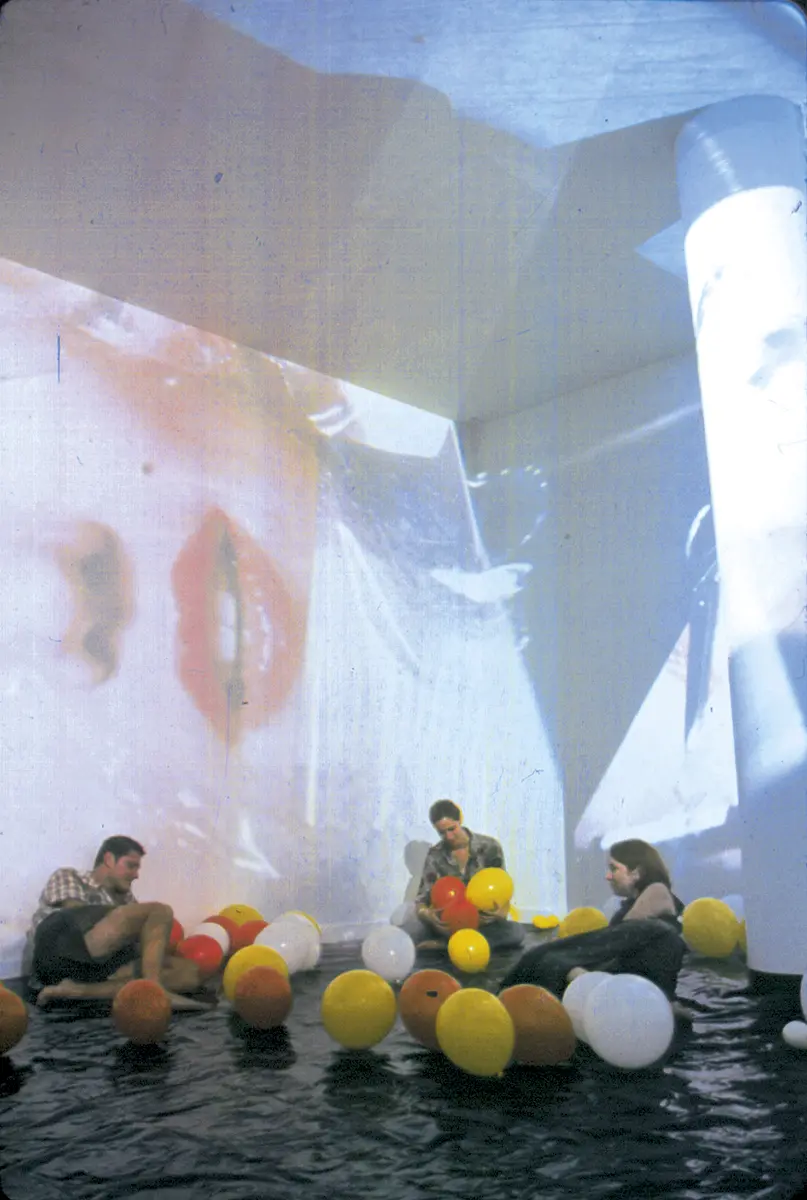 Monografía: Hélio Oiticica — imagen 2