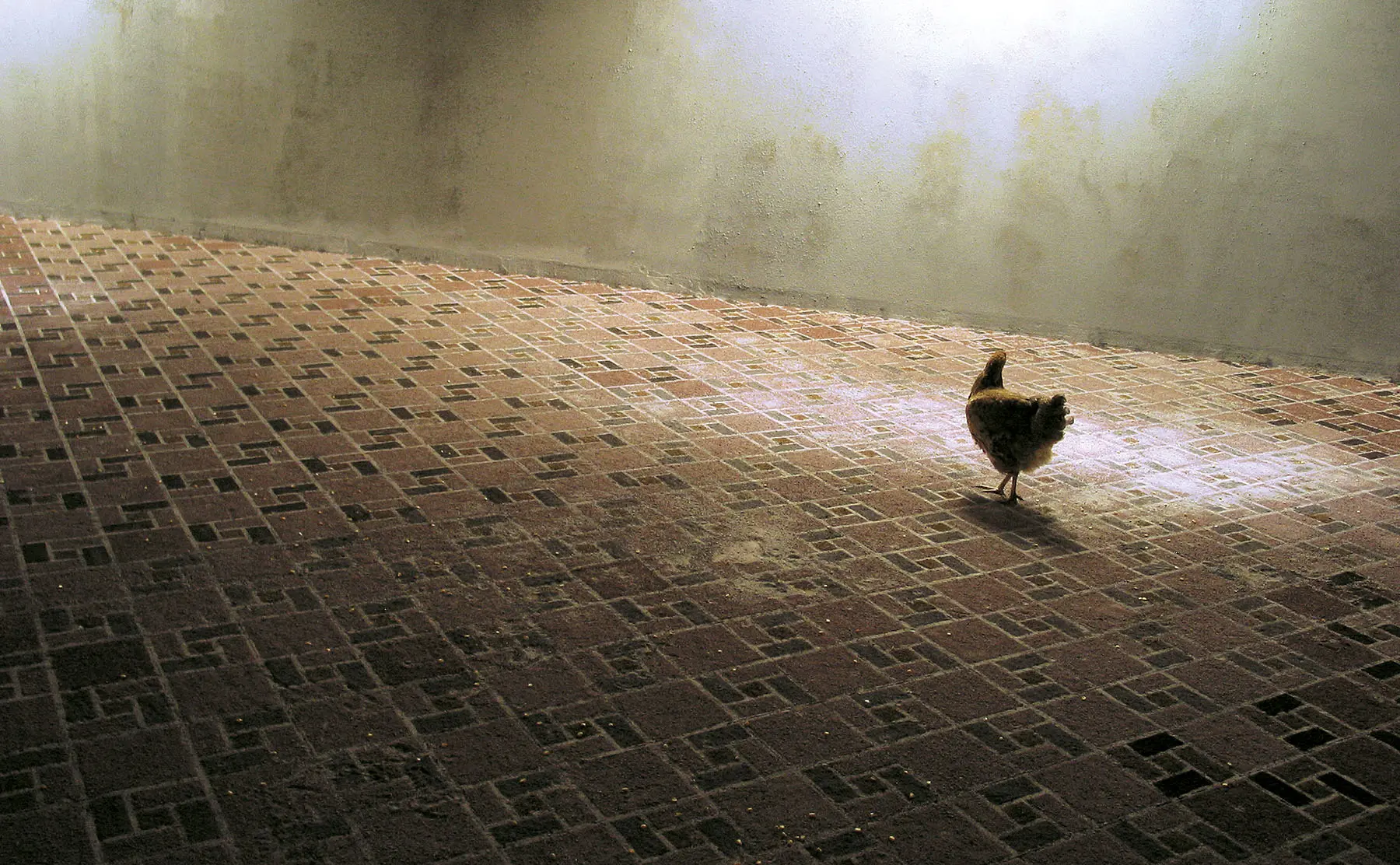 VIII Bienal de Arte de Bogotá