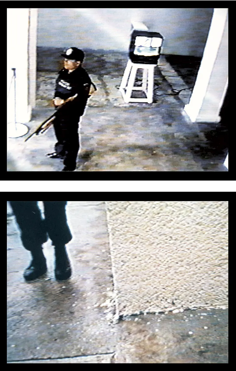 Ensayo: ViDeum  — imagen 3