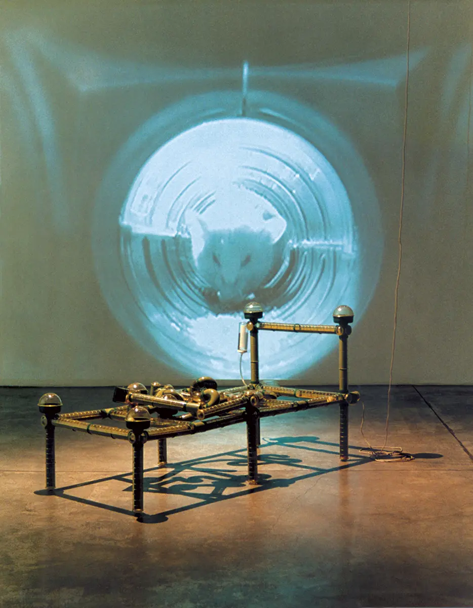 Exposición: Arte reciente en Chile  — imagen 3