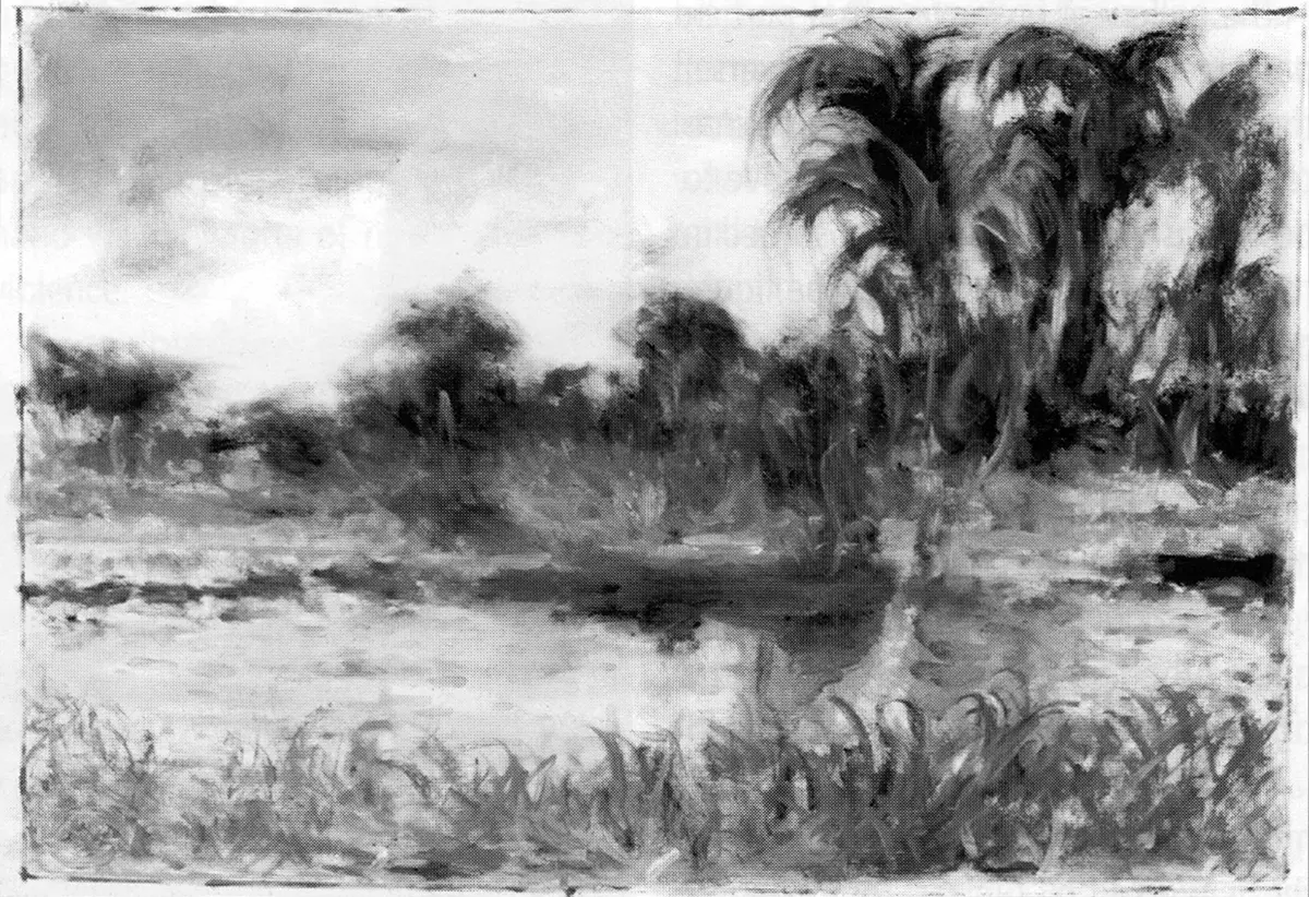Exposición Individual: José Cestero — imagen 1