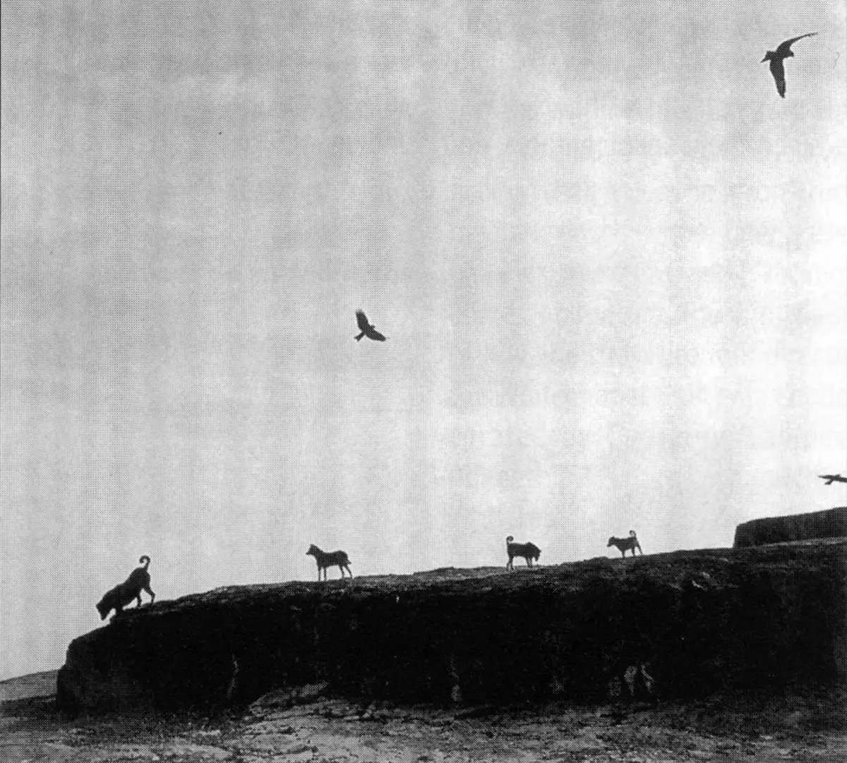 Exposición Individual: Graciela Iturbide — imagen 1