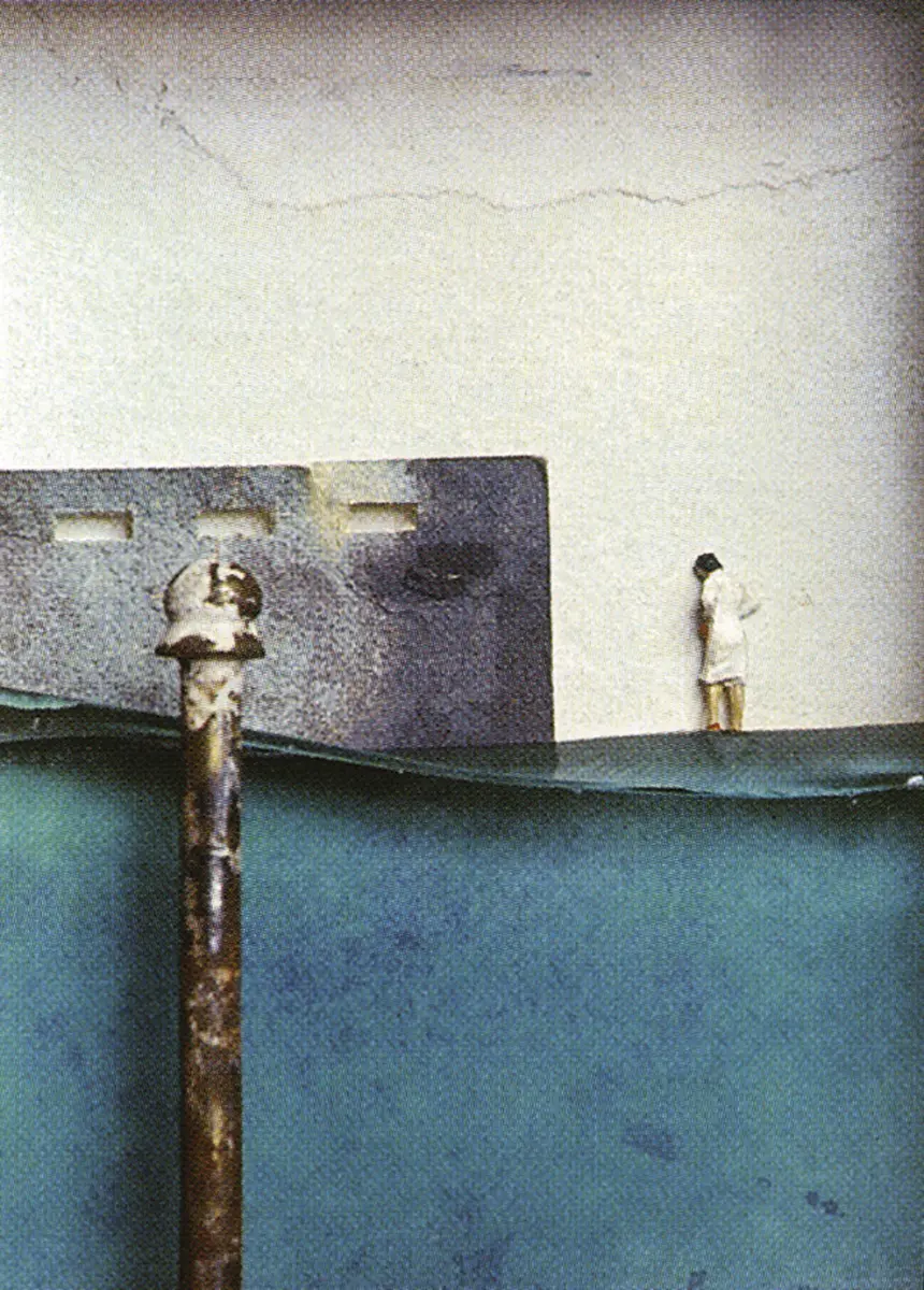 Monografía: Luis Fernando Peláez — imagen 5