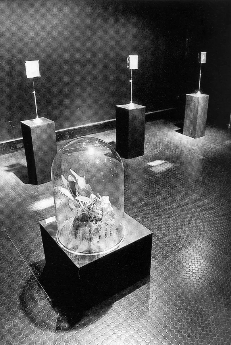 Colectiva: V Bienal de Arte en Panamá — imagen 3