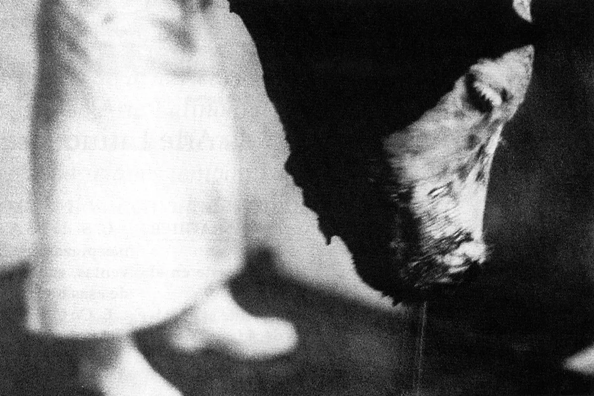 Exposición: FotoFest 00 — imagen 8