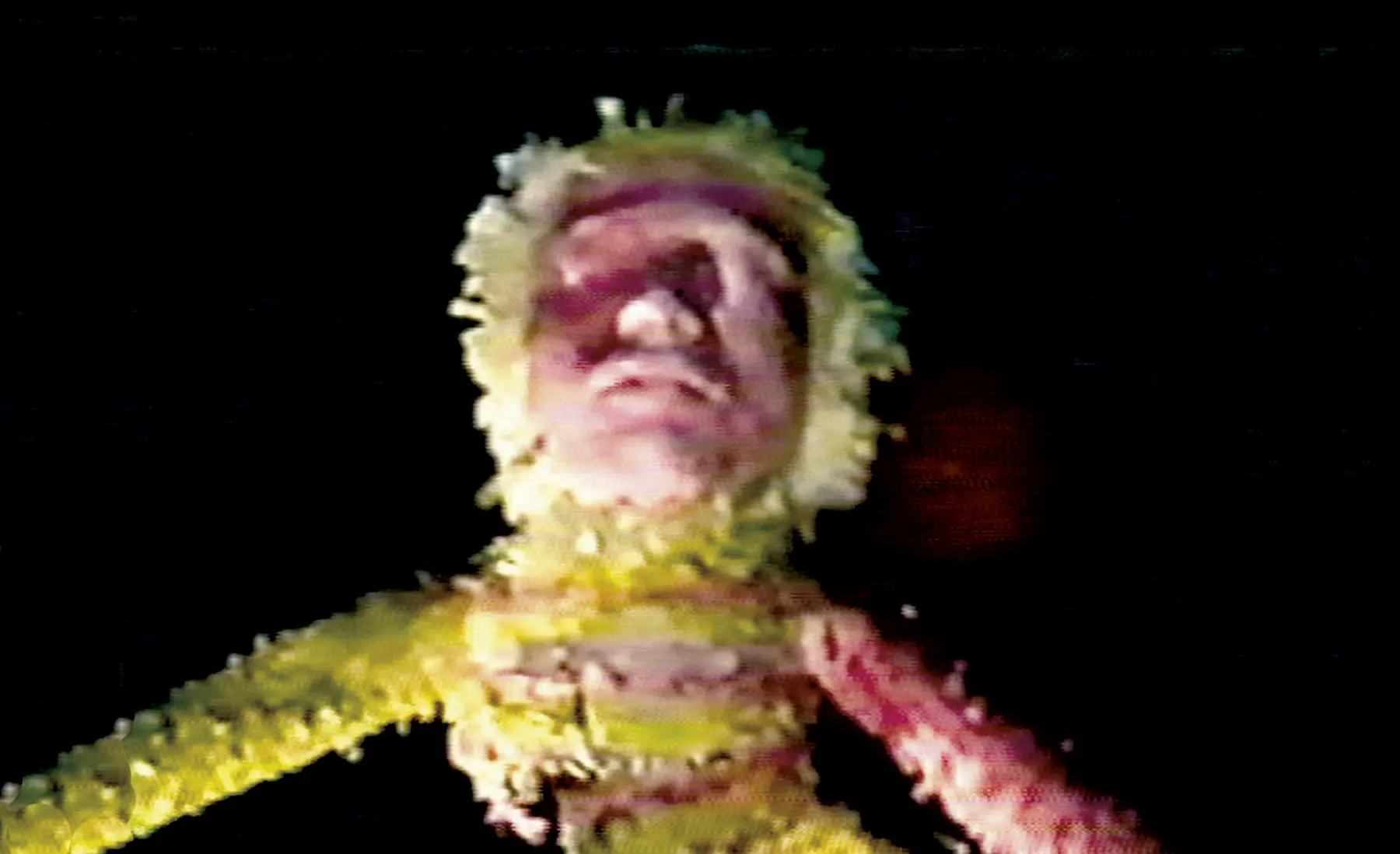 III Bienal de Artes Visuales del Istmo Centroamericano