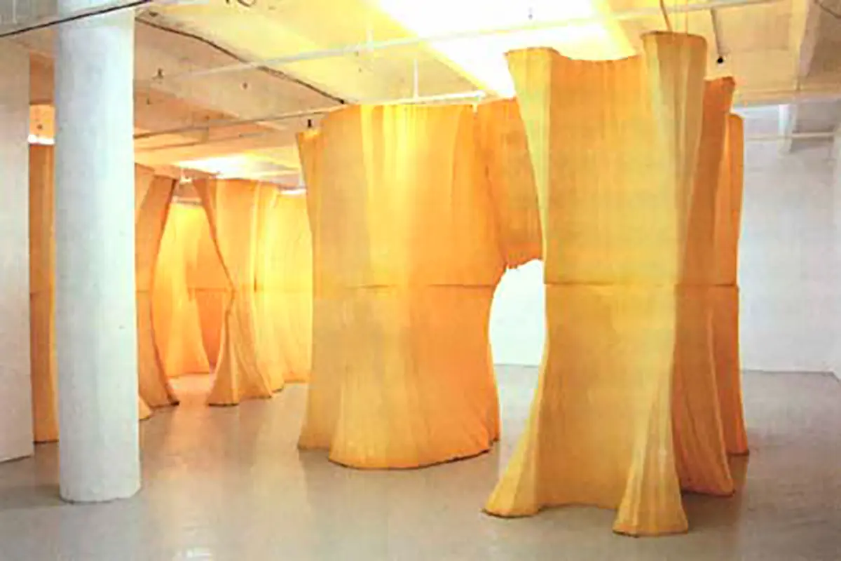 Exposición Individual: Ernesto Neto — imagen 1